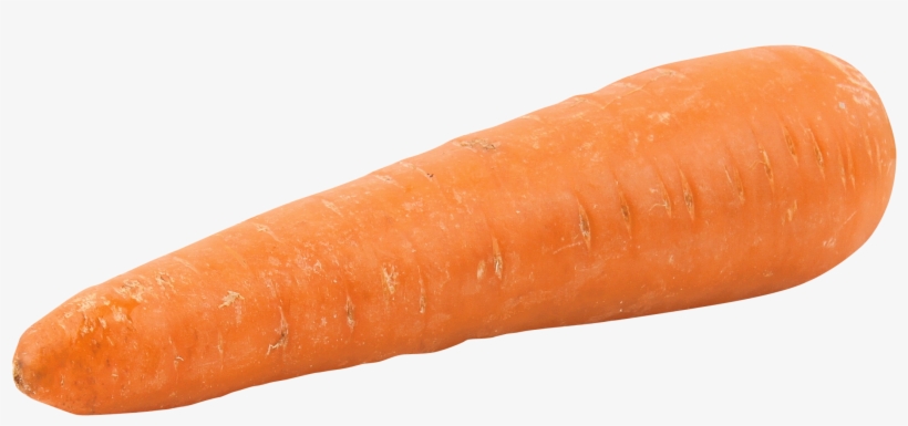 Fat Orange Carrot Png Image - 1 Carrot, transparent png #8914422