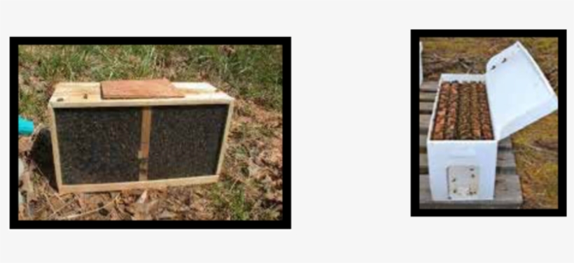 Comparing Package Bees And Nucs - Backyard, transparent png #8915257