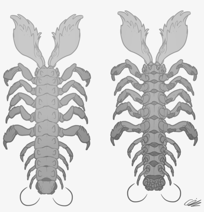 Desert Centipede Top And - American Lobster, transparent png #8915355