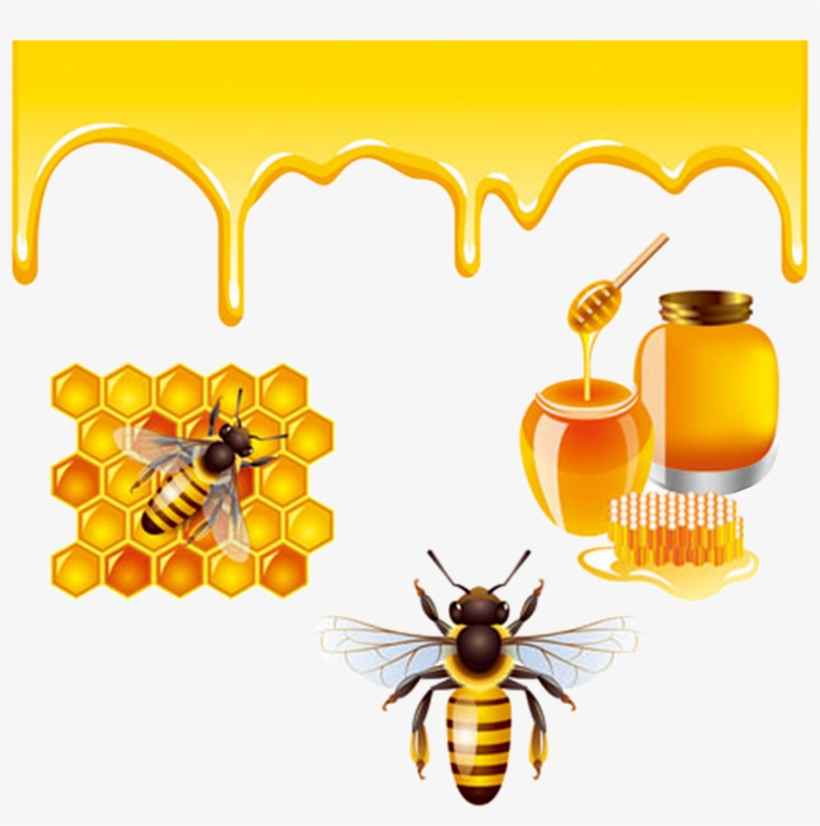 Honey Bee Royalty-free - Bee And Honey, transparent png #8915381
