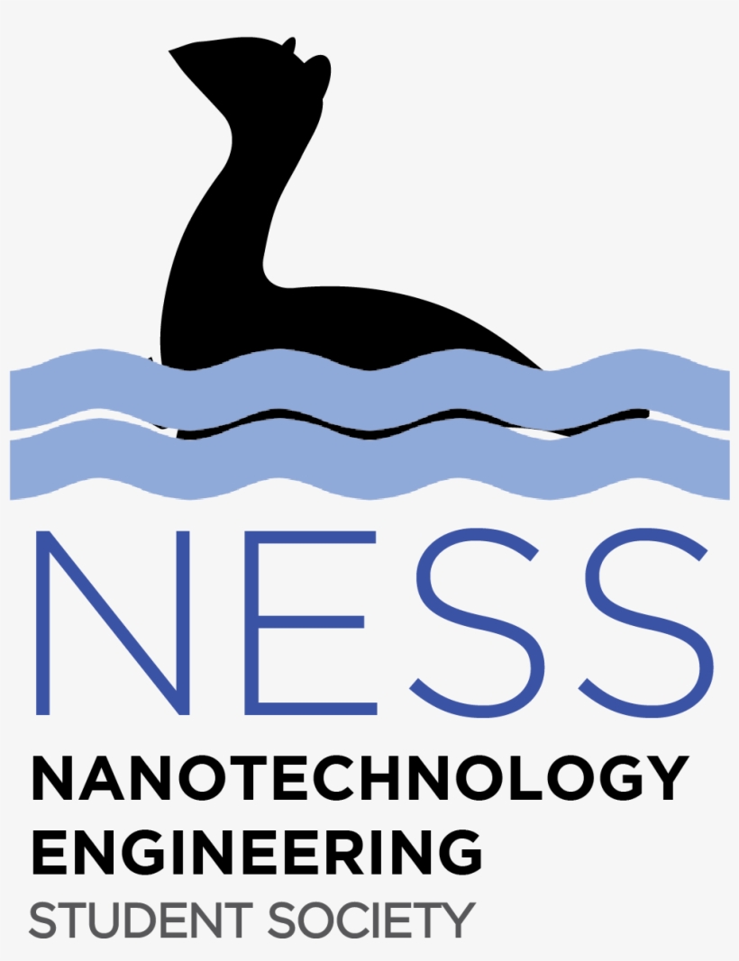 Home - Interfor Corporation, transparent png #8915618