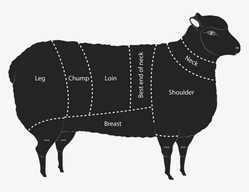 Lamb - Sheep, transparent png #8915819