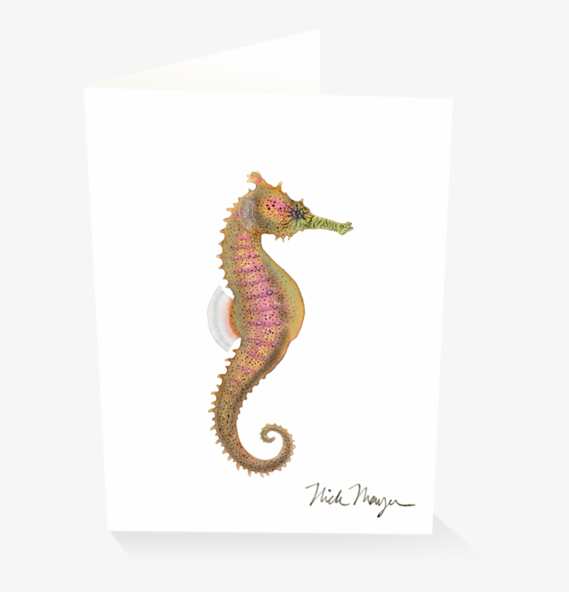 Northern Seahorse, transparent png #8916550