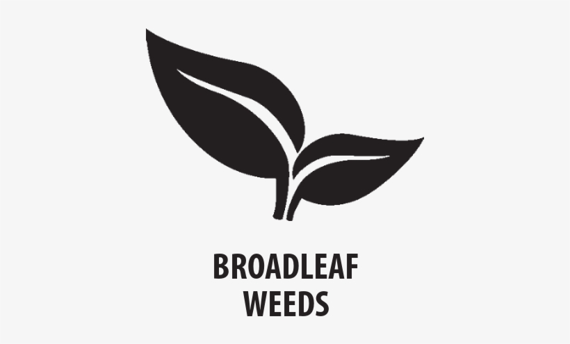 Tzone™ Se Broadleaf Herbicide For Tough Weeds - Graphic Design, transparent png #8916958
