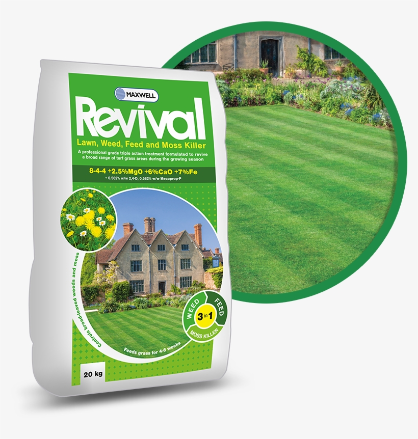 Lawn, transparent png #8917025