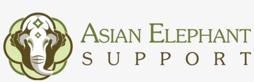 Asian Png, transparent png #8917148