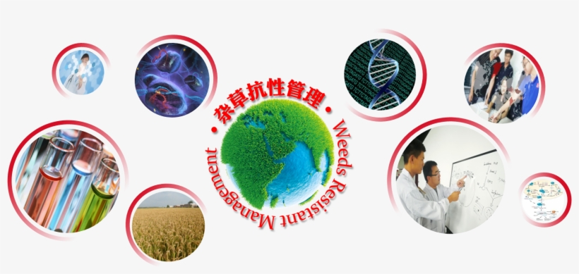 Established In 2009, Kingagroot Is A Weeding Science, transparent png #8917178