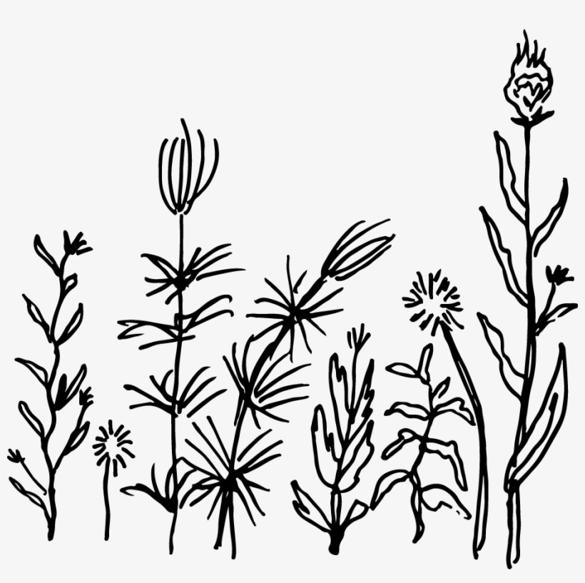 Stone Soup For Five January 2019 Odds And Ends Yard, transparent png #8917307