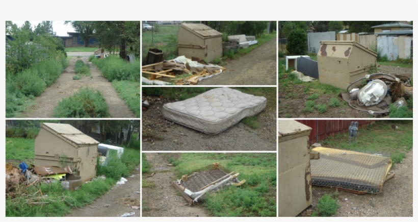 Name That Weed There Are Plenty Of Them Around Amarillo - Yard, transparent png #8917530