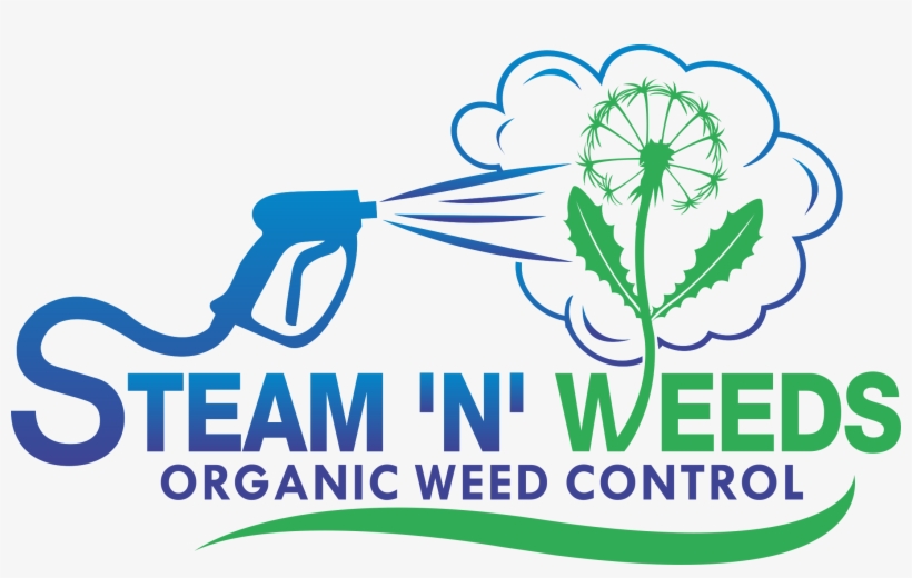 Steam N Weeds - Escalera Decimal, transparent png #8917562