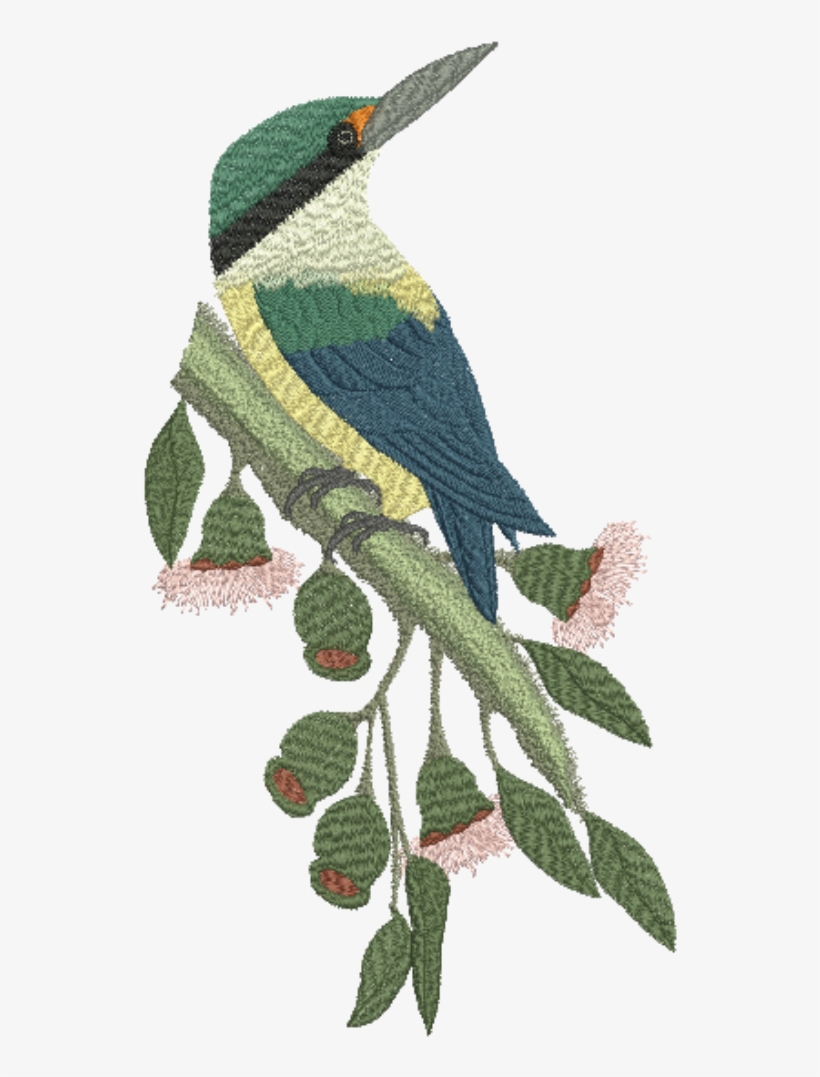 Sacred Kingfisher - Png, transparent png #8918561