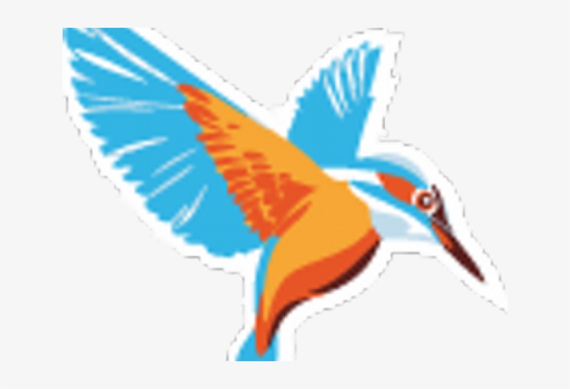 Kingfisher, transparent png #8918804