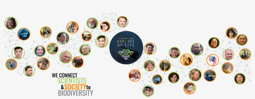 Circle, transparent png #8919233