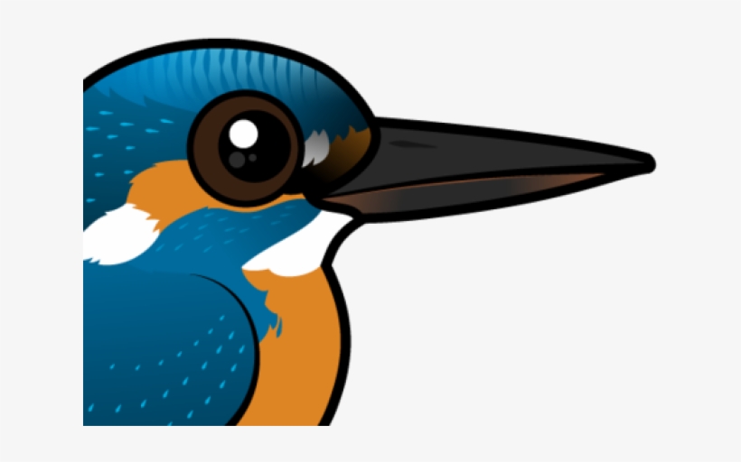 Kingfisher Clipart Transparent - Duck, transparent png #8919267