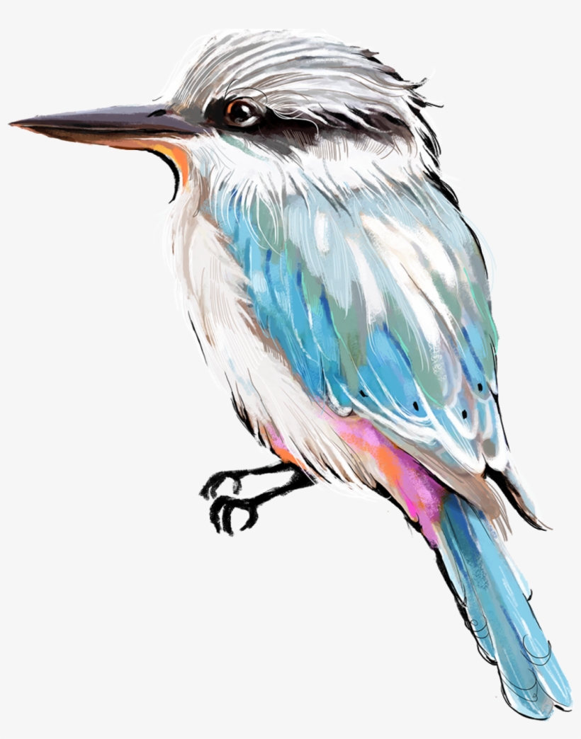 New Birds Crop Png, transparent png #8919411