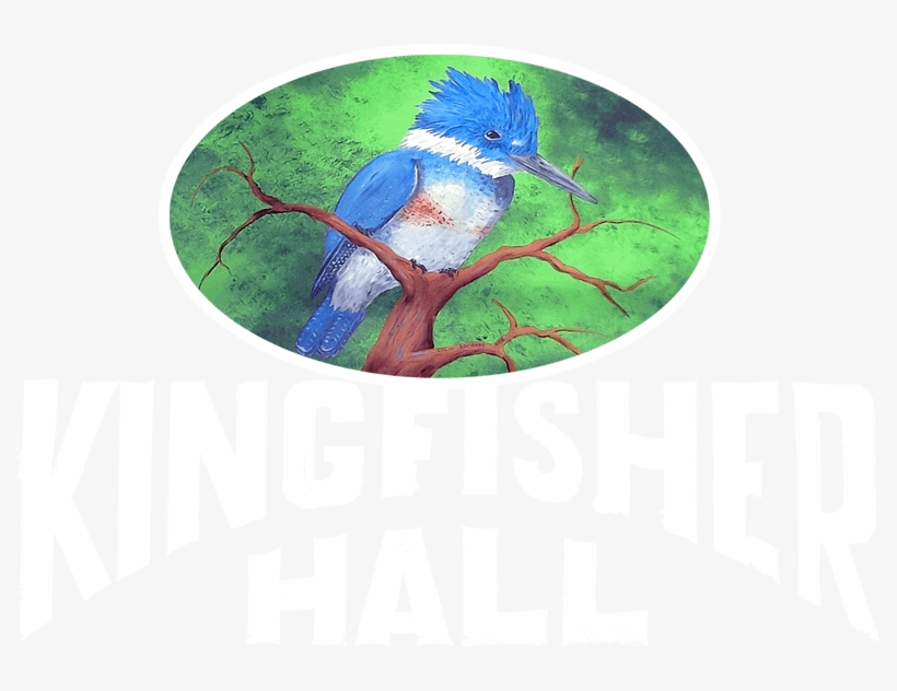 Kingfisher Hall - Hummingbird, transparent png #8919615