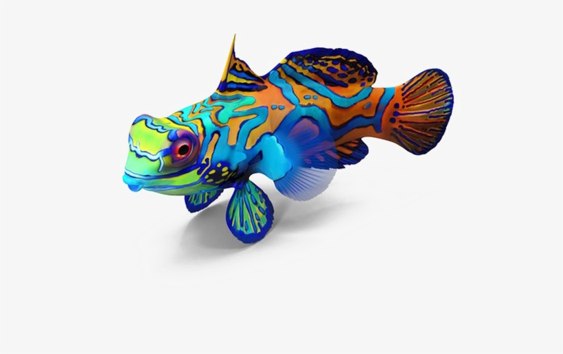Fish Png Image Transparent Background - Animal Figure, transparent png #8920713