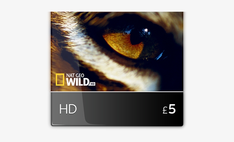 This Website Uses Cookies - Bengal Tiger, transparent png #8920754