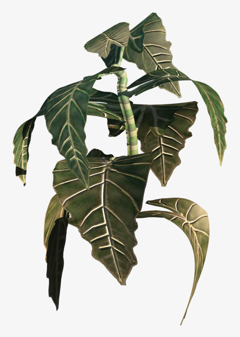 Plant4 - Illustration, transparent png #8920850