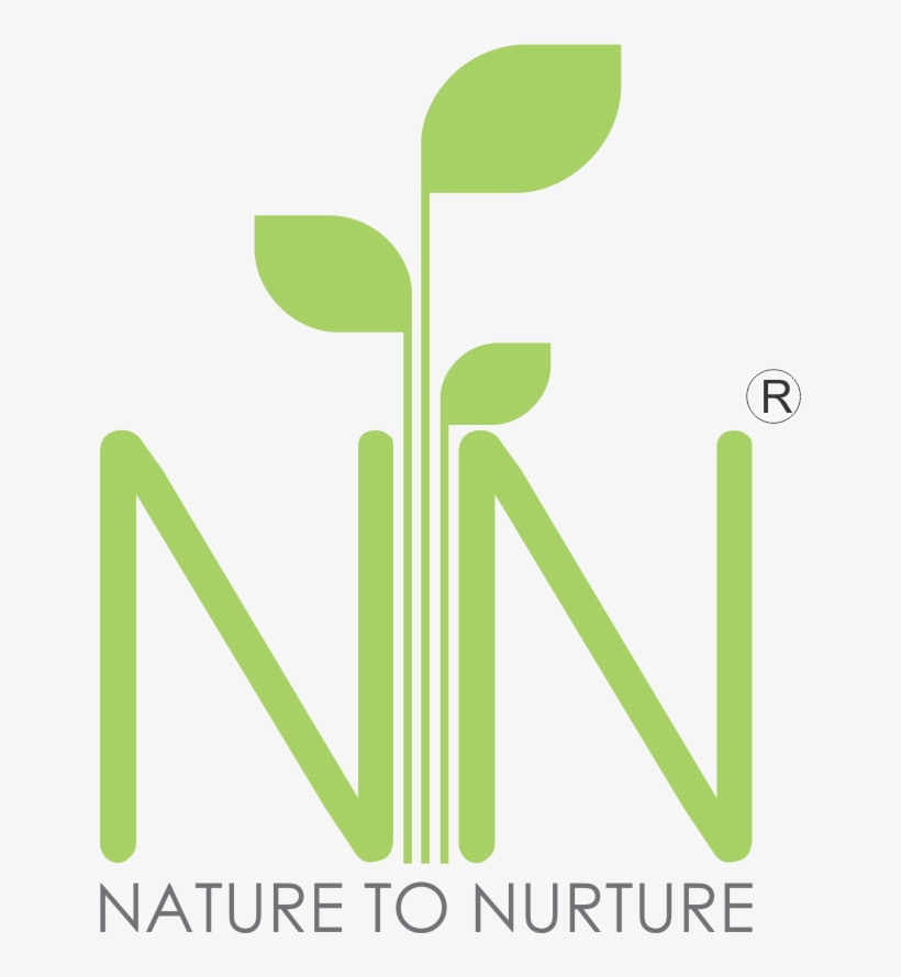 Graphic Design, transparent png #8920866