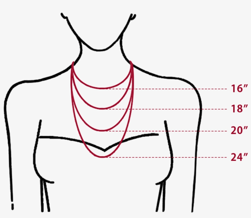 Measuring For Necklaces - Line Art, transparent png #8921017