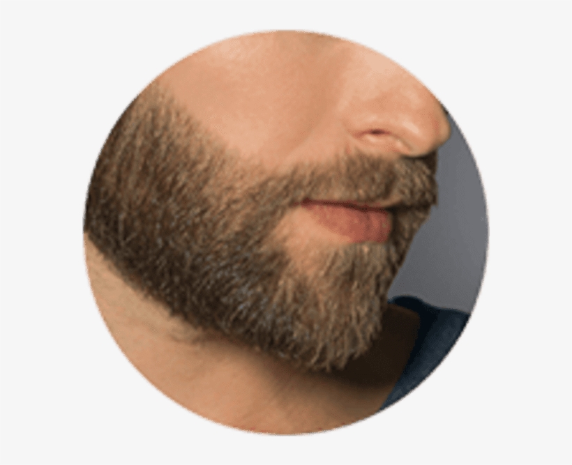Beard Styling - Short Beard Contour, transparent png #8922420