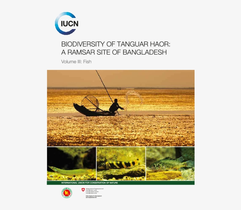 Pdf - Sea Kayak, transparent png #8922794