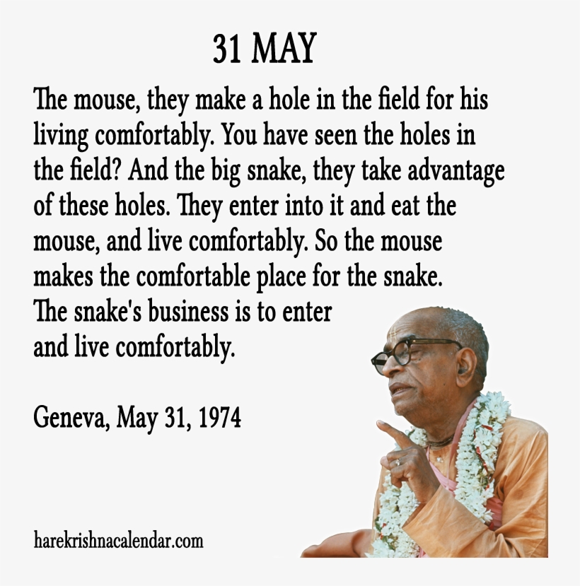 31 May - Quotes About May 31, transparent png #8922854