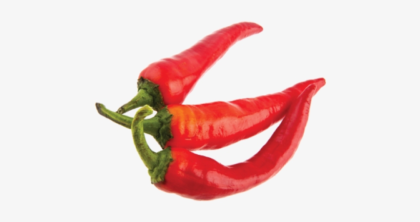 Peppers Chilli - Bird's Eye Chili, transparent png #8923200