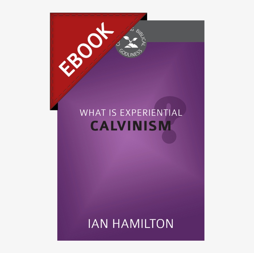 Image - Graphic Design, transparent png #8923705