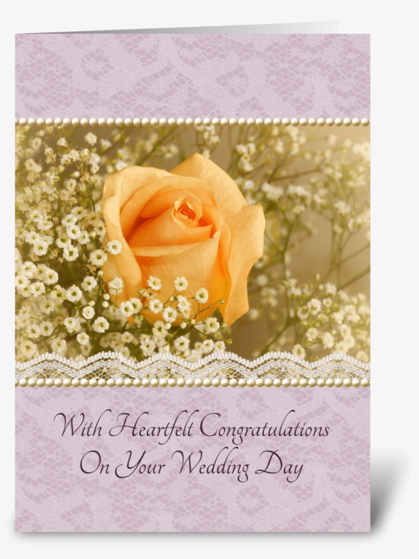 Peach Rose Wedding Congratulations - Wedding, transparent png #8924689