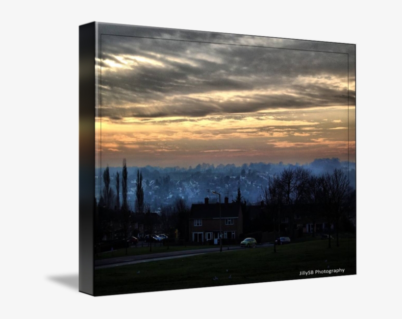 Hertfordshire By Jilly S B - Tree, transparent png #8925016