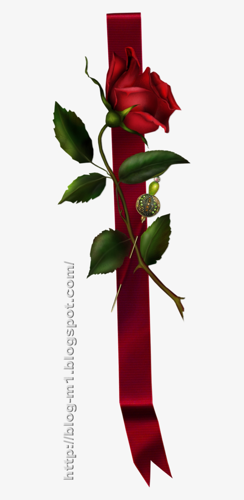 61-bir Kandil Gülü Savur Sevdiklerine, Size Onlardan - Red Rose With Ribbon, transparent png #8926147