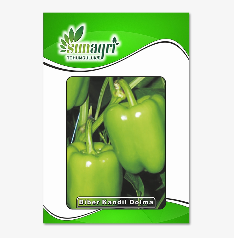Cin Kıl Biber, transparent png #8926414