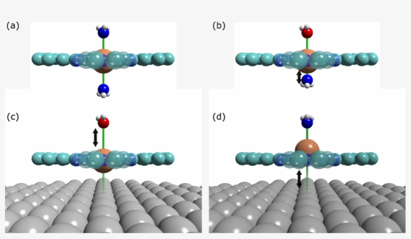 Bead, transparent png #8926597