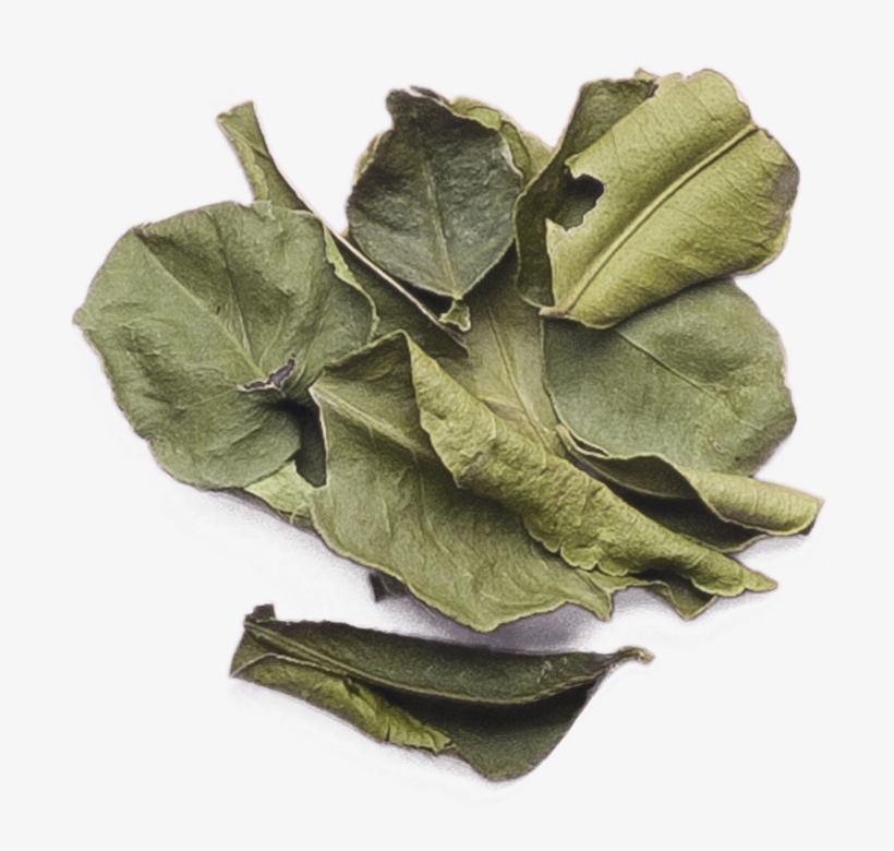 Kaffir Lime Leaves, transparent png #8926601