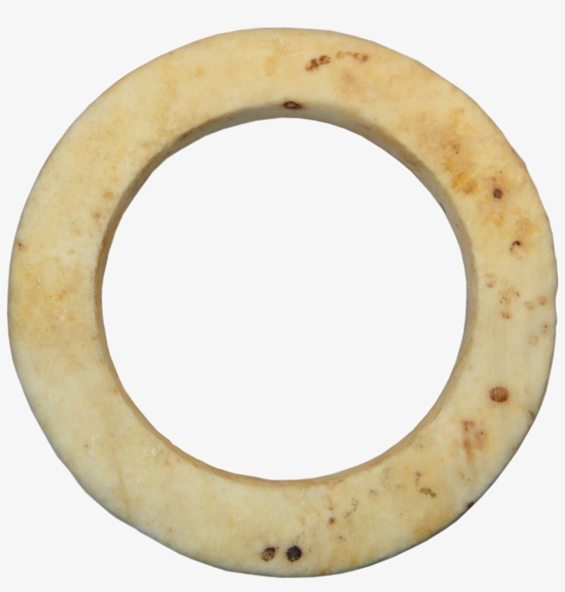 Western Solomon Islands, Bakia Clam Shell Ring With - Body Jewelry, transparent png #8927020