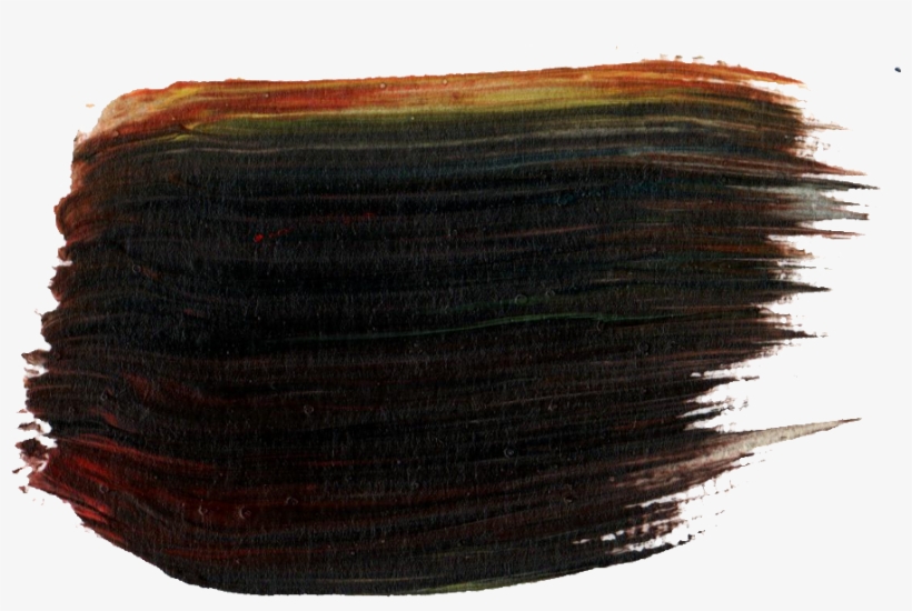 Free Download - Baltic Clam, transparent png #8927464