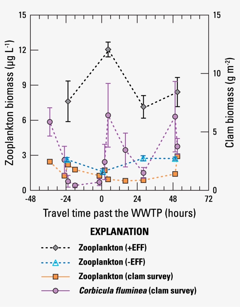 Zooplankton And Clam Biomass Data Collected For The - Diagram, transparent png #8927563