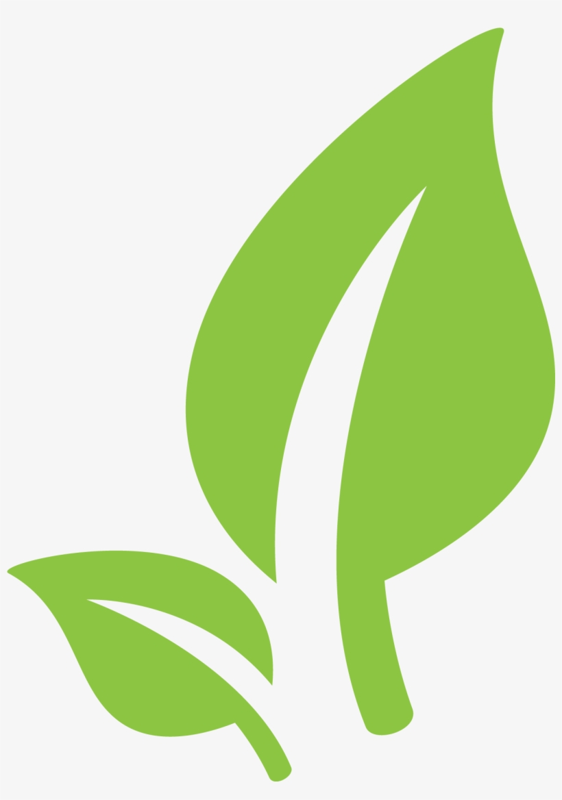 Sprout Png, transparent png #8927816