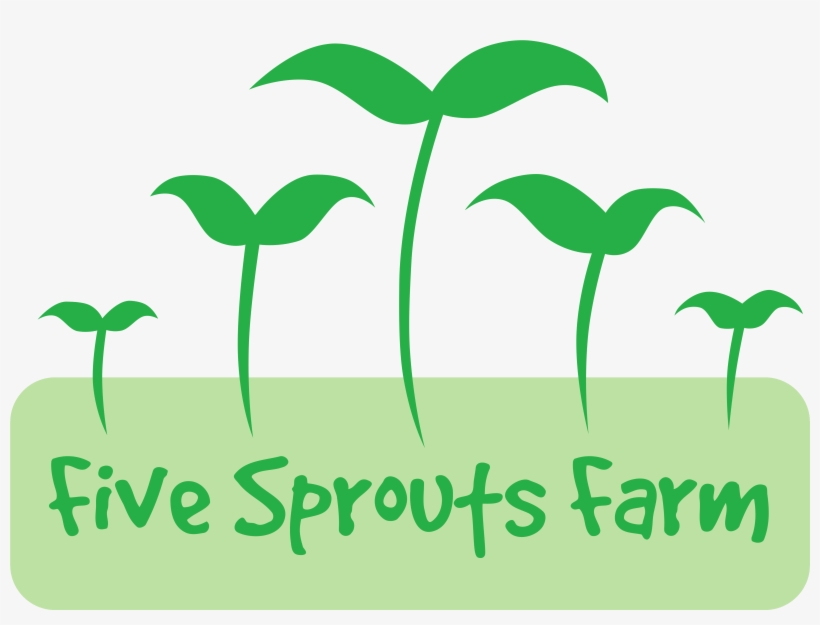 Download Sprout Clipart Leaf And Use In Presentations, transparent png #8928165