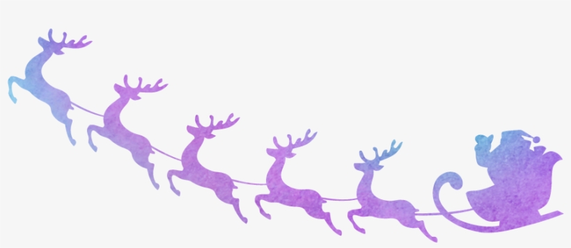 Bicheno, transparent png #8928216