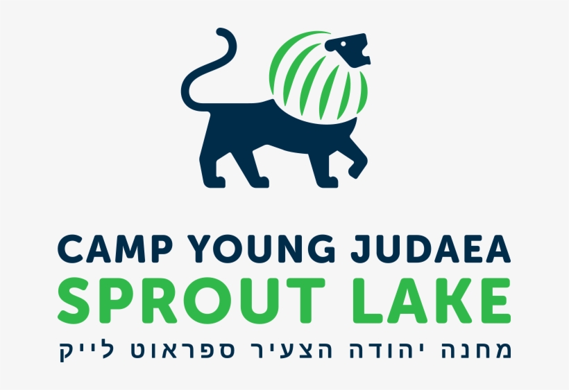 Camp Young Judaea Sprout Lake, transparent png #8928398