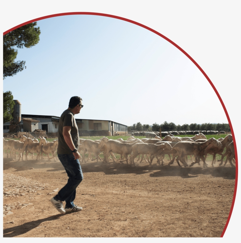 2 Oz - Arch, transparent png #8929090