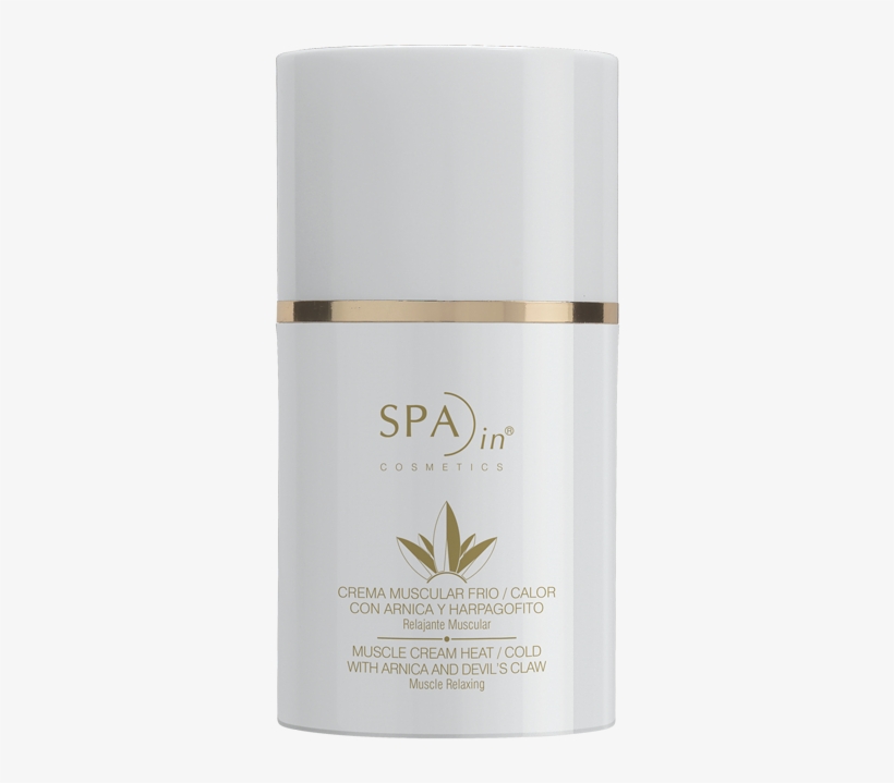 Products - Perfume, transparent png #8929491