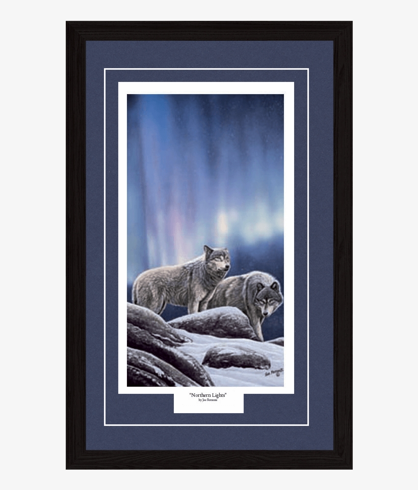 Northern Lights - Cougar, transparent png #8929495