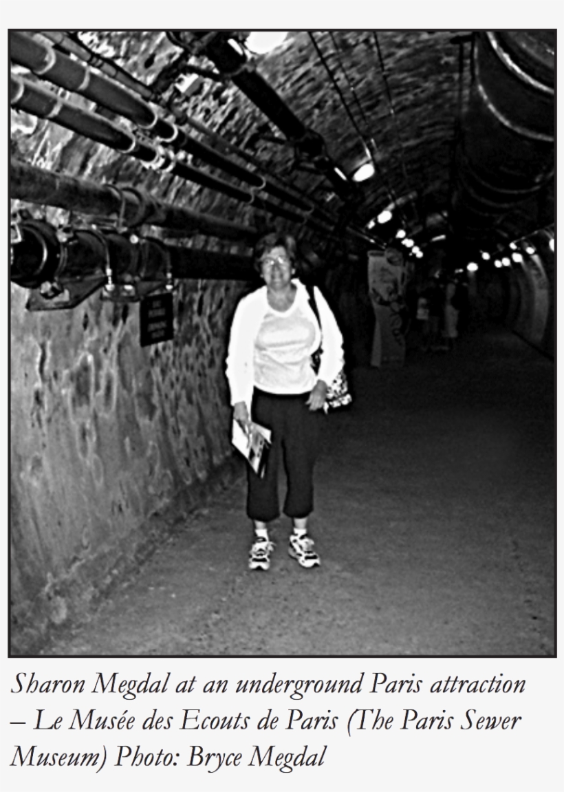 An American In Paris Realizes Arizona Could Do More - Snapshot, transparent png #8930108