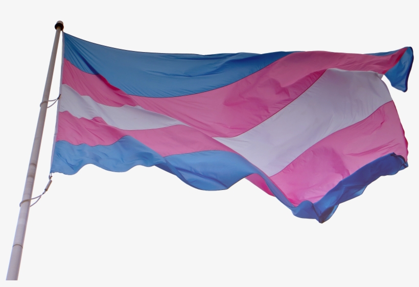 Npp National Progress Party Flag 7 - Trans Flag Waving Gif, transparent png #8930194
