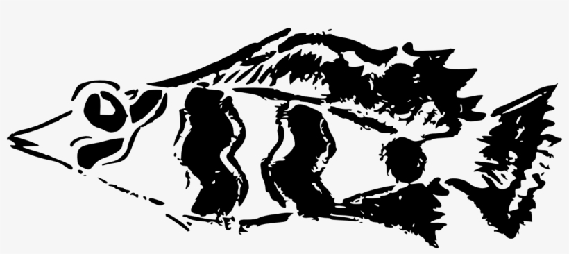 Fish 1280 - Fish Graffiti Png, transparent png #8931437