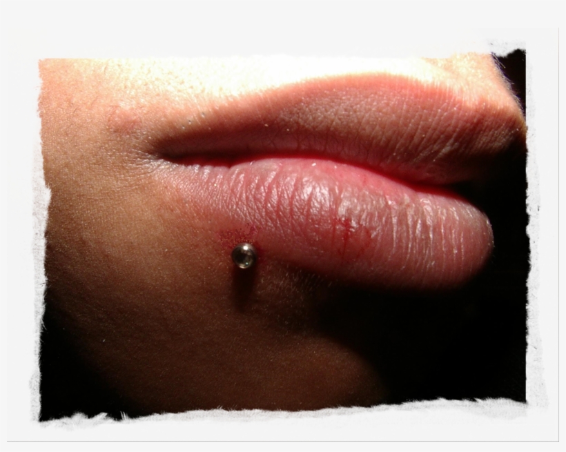 Banner Black And White Gassinger More Galerie Bilder - Piercing Unterhalb Der Lippe, transparent png #8933170